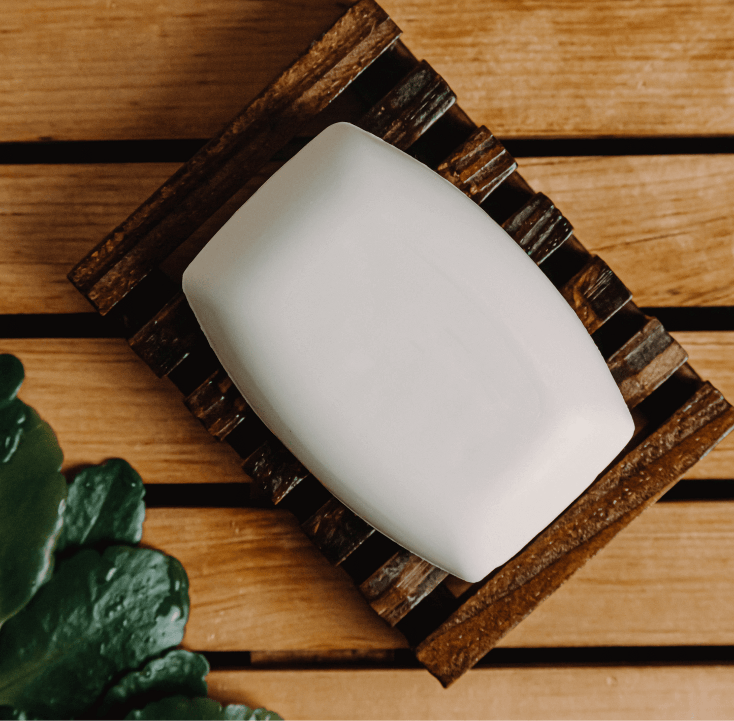 Savon à Barres de Noix de Coco